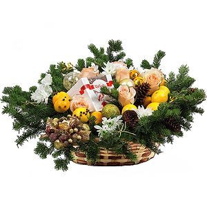 A New Year surprise with delivery Vologda