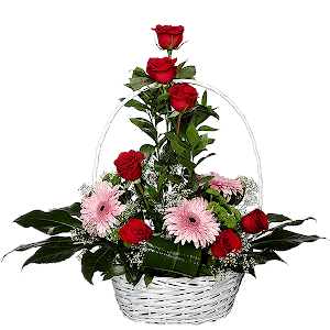 Refined Compliment with delivery Vologda