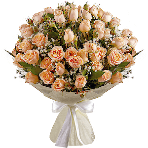 Wonderful Start VIP with delivery Vologda