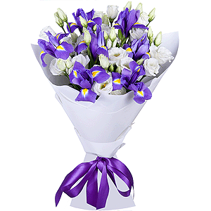 Sea Motive with delivery Vologda