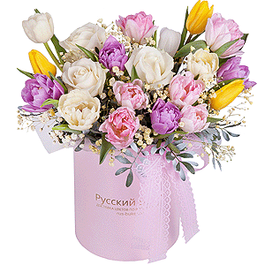 Lovely bird with delivery Vologda