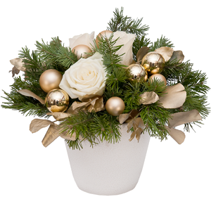 New Year's Night with delivery Vologda