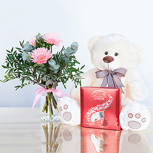 Gift set "Gerberas, teddy bear and sweets" with delivery Vologda