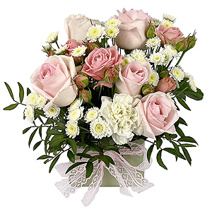 Lovely smile with delivery Vologda