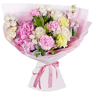 Summer breeze with delivery Vologda