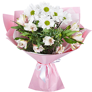 Tender dream with delivery Vologda