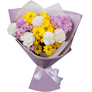 Constellation Chrysanthemum with delivery Vologda