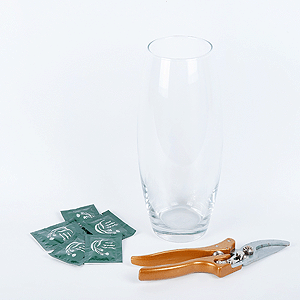 Bouquet care set with a vase with delivery Vologda