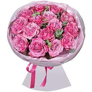 Pink Sonnet with delivery Vologda