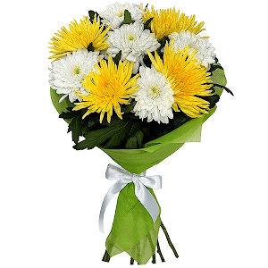 Etude with delivery Vologda