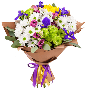 Bird of Paradise with delivery Vologda