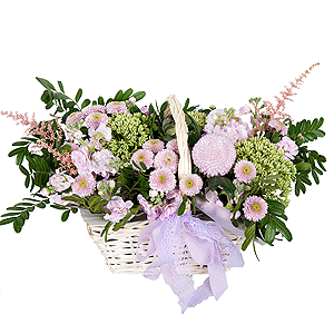 Morning Tenderness with delivery Vologda