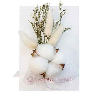 Card &ldquo;Cozy Fluff&rdquo; with delivery Vologda