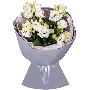 Bright Dreams with delivery Vologda