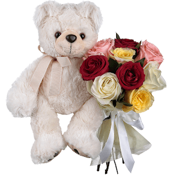 Gentle Teddy Bear (Deluxe)