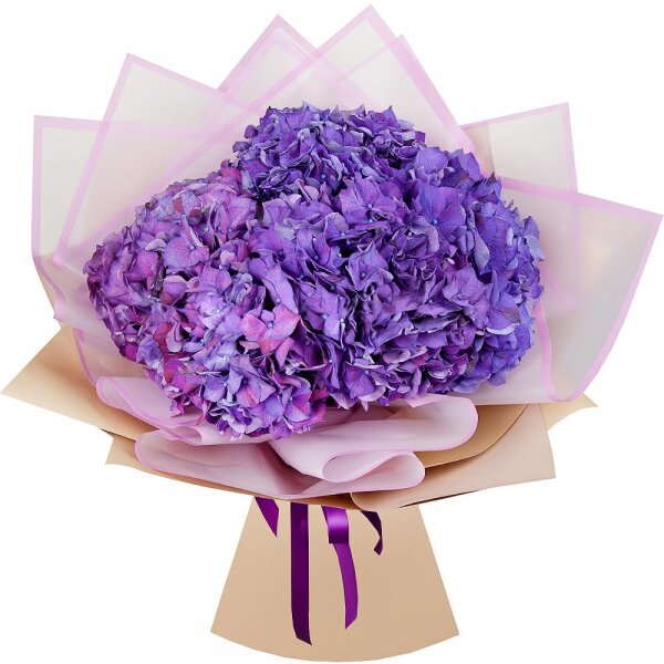 Hydrangea - 5, Wrapping Paper