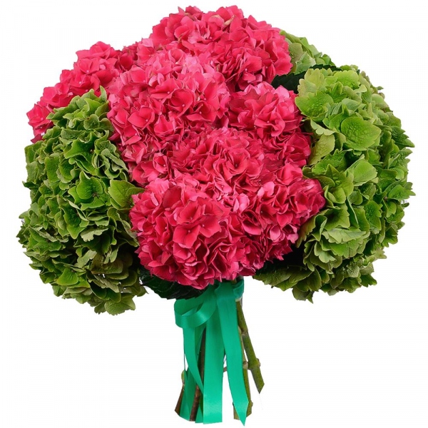 Hydrangea - 15, Wrapping Paper