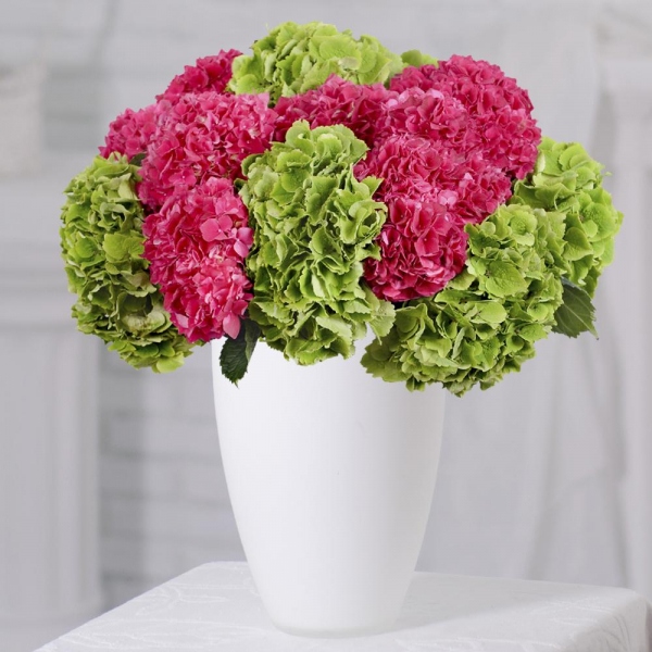 Hydrangea - 15, Wrapping Paper