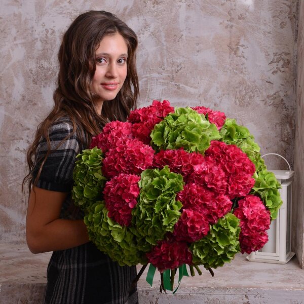 Hydrangea - 20, Ribbon