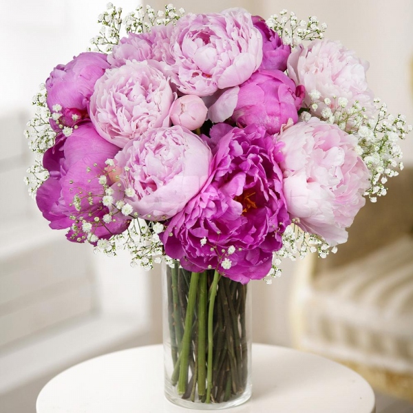Peony pink - 11, Gypsophila - 1, Wrapping Paper