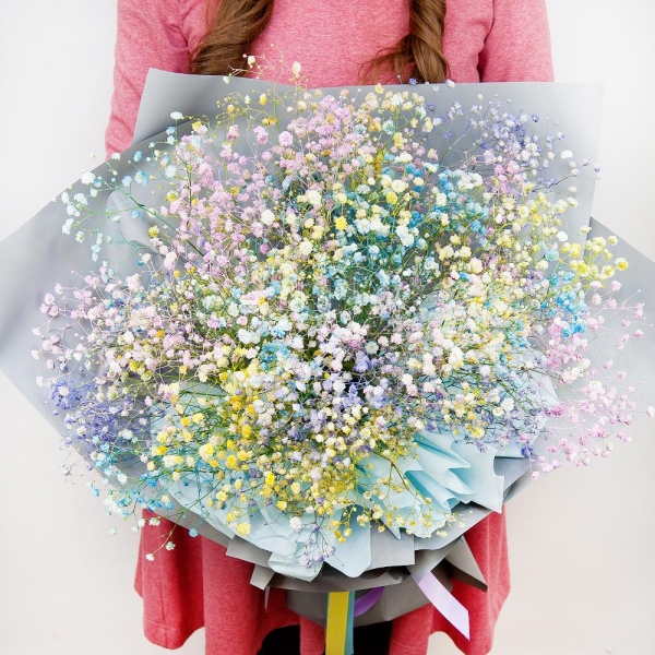 Colored gypsophila - 15, Wrapping Paper, Ribbon