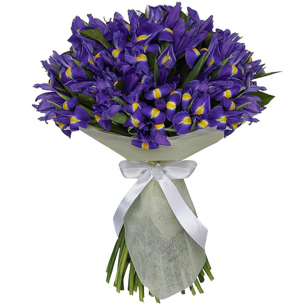 Irises - 35, Wrapping Paper, Ribbon