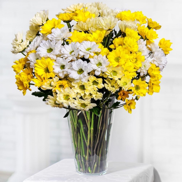 Bacardi White Spray Chrysanthemum - 4, Bacardi Yellow Spray Chrysanthemum - 9, Ribbon