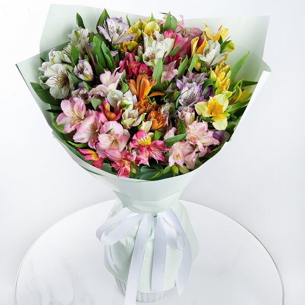 Alstroemerias - 21, Wrapping Paper, Ribbon