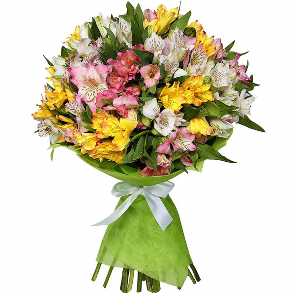 Alstroemerias - 21, Wrapping Paper, Ribbon