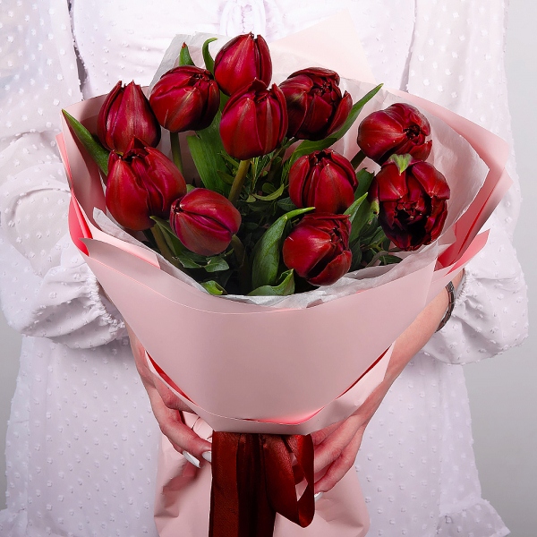Тюльпан красный - 15, Фисташка, Современная упаковка